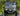 Polaris Ranger XP 800 Full Windshield