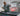 Replacement Glass Windshield Kit