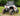 Polaris RZR 200 Rear Windshield