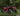 Polaris RZR XP Turbo S Boxed High Clearance Radius Arms